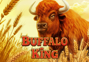 Buffalo King