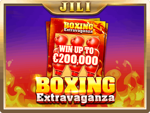 Boxing Extravaganza