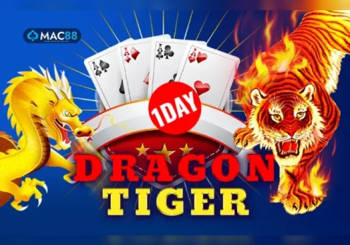 1 Day Dragon Tiger