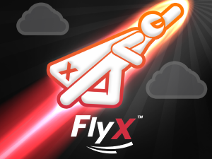FlyX
