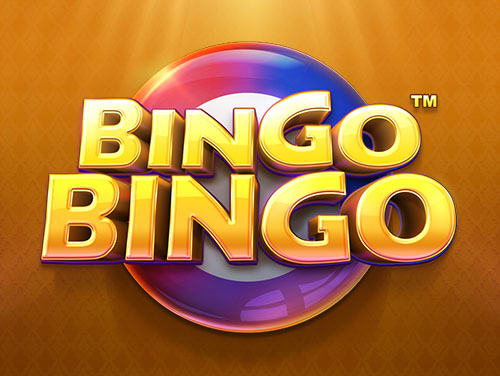 BINGO BINGO