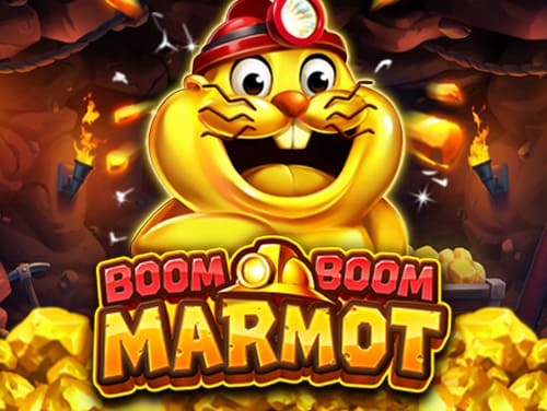 BOOM BOOM MARMOT